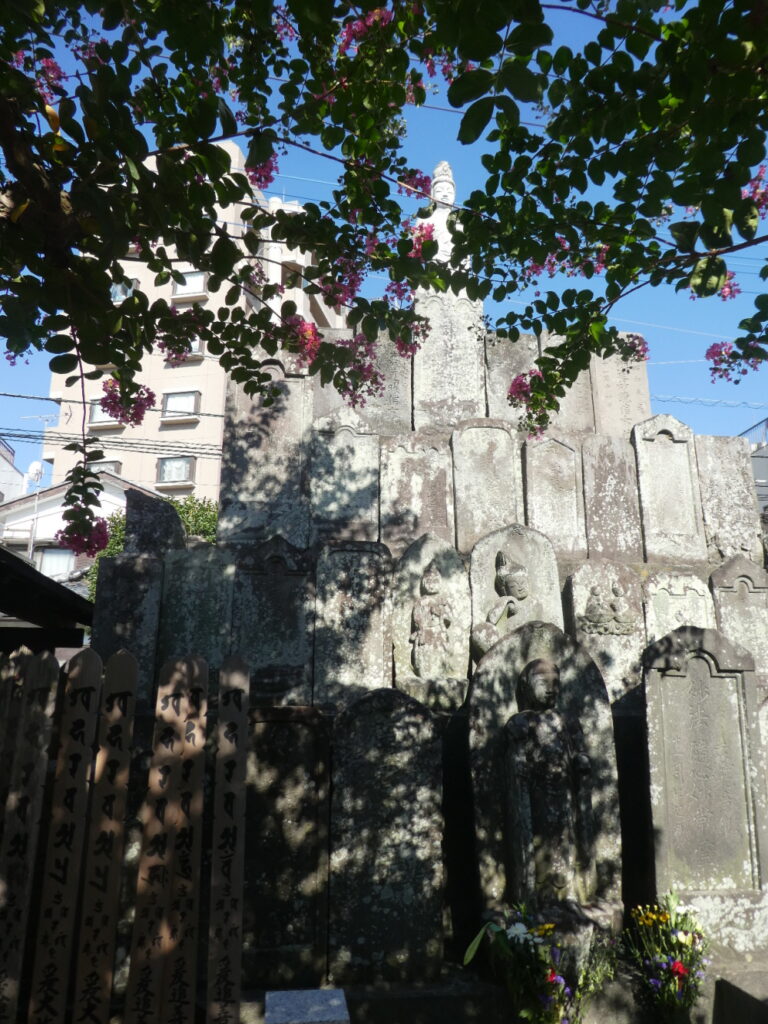 吉祥寺（松戸市根本）