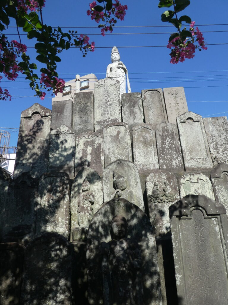吉祥寺（松戸市根本）