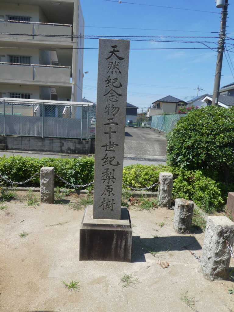 二十世紀梨誕生の地(松戸市二十世紀が丘梨元町)