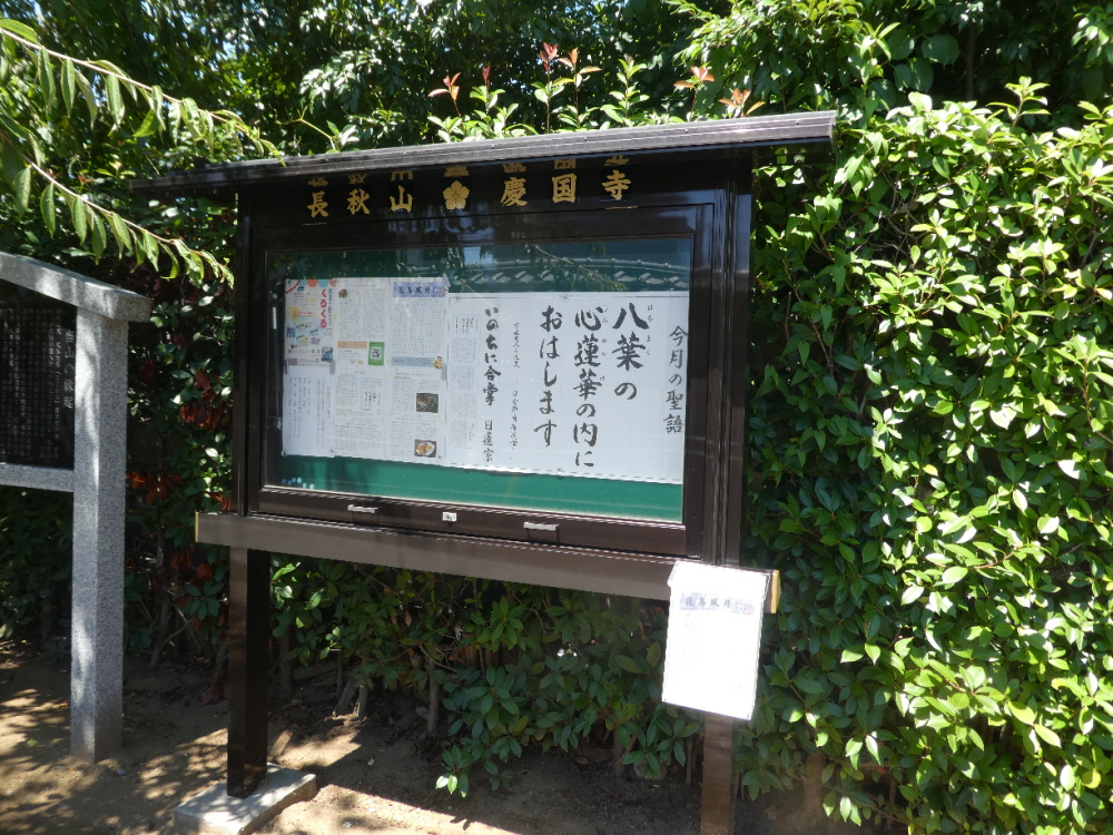 慶国寺 (松戸市秋山)