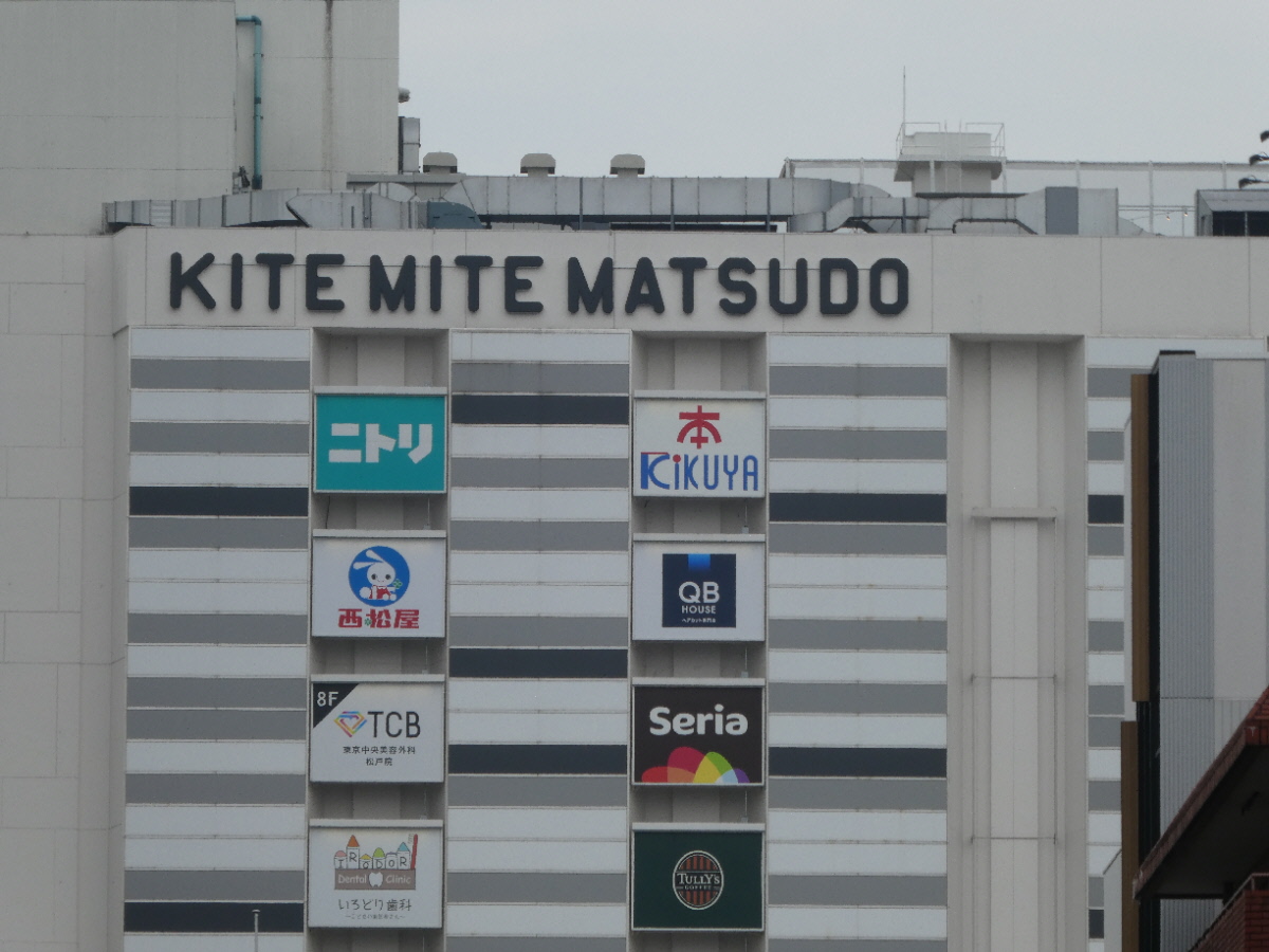 キテミテマツド