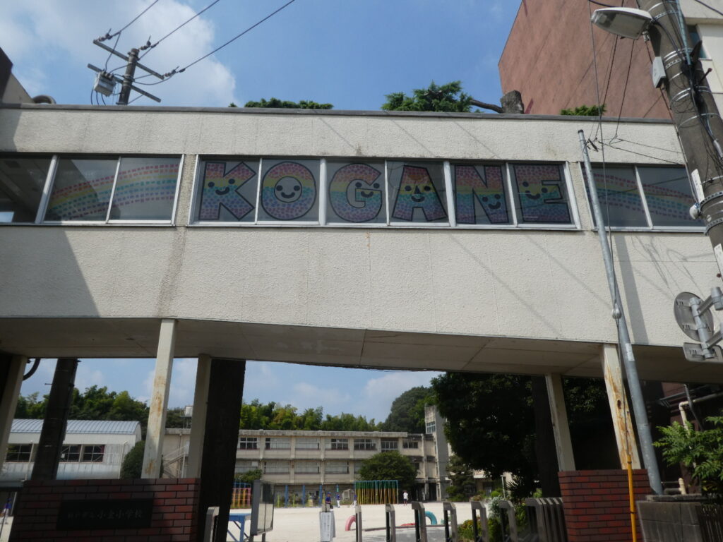 松戸市立小金小学校(松戸市小金)