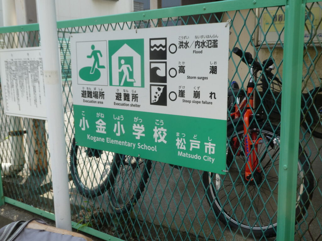 松戸市立小金小学校(松戸市小金)