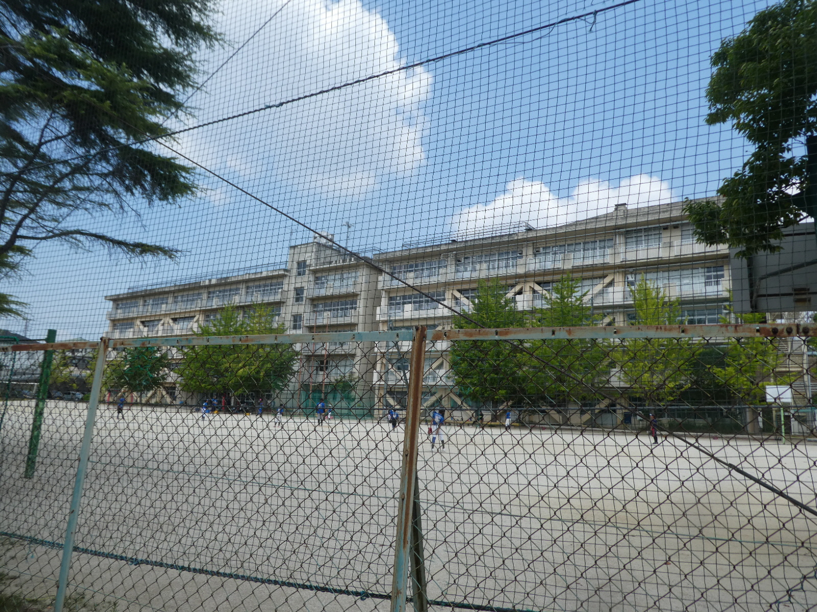 松戸市立殿平賀小学校（松戸市殿平賀）