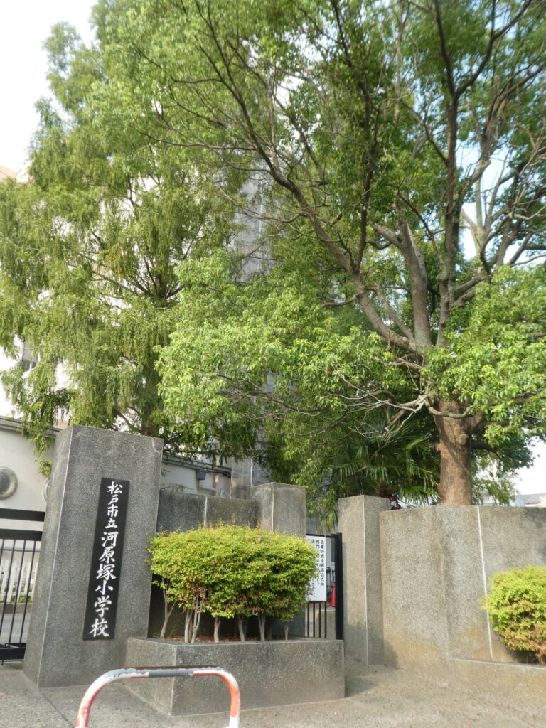 松戸市立河原塚小学校(松戸市河原塚)