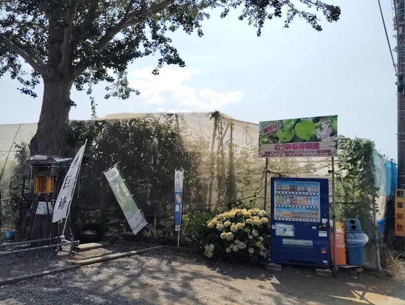 むつみ石井梨園（松戸市六実）