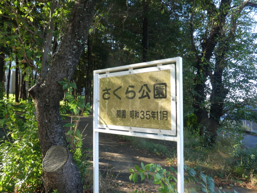 さくら公園（松戸市常盤平）