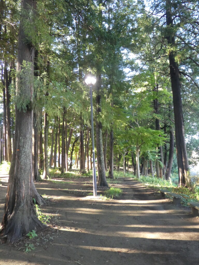 さくら公園（松戸市常盤平）