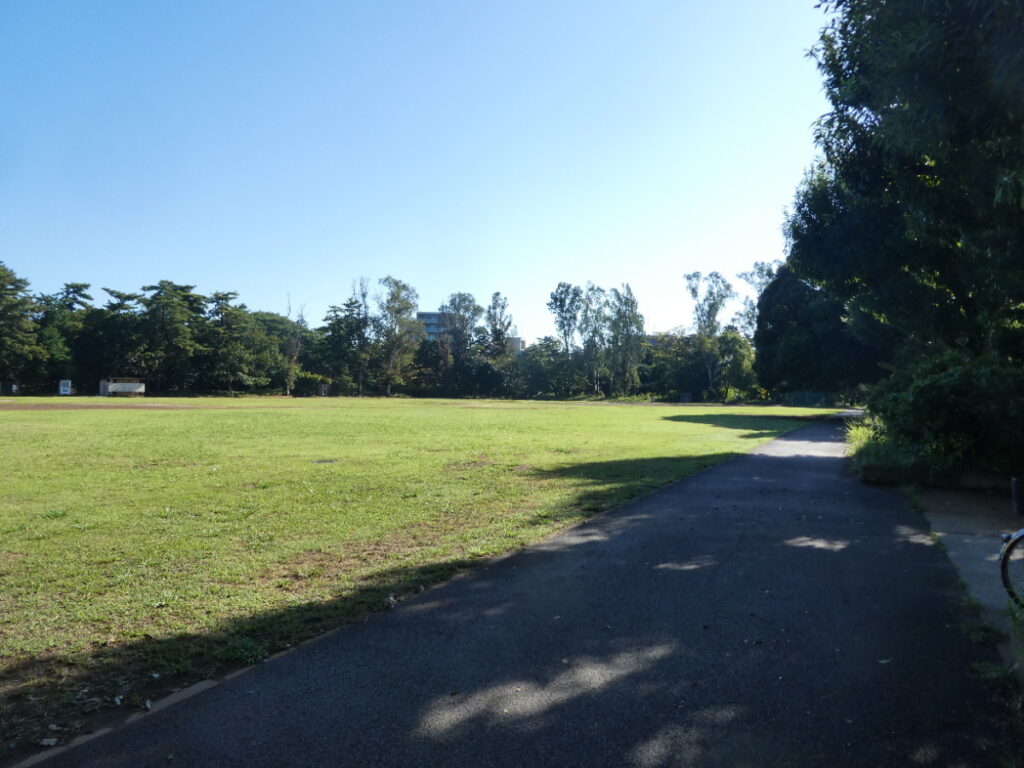 金ヶ作公園（松戸市常盤平）