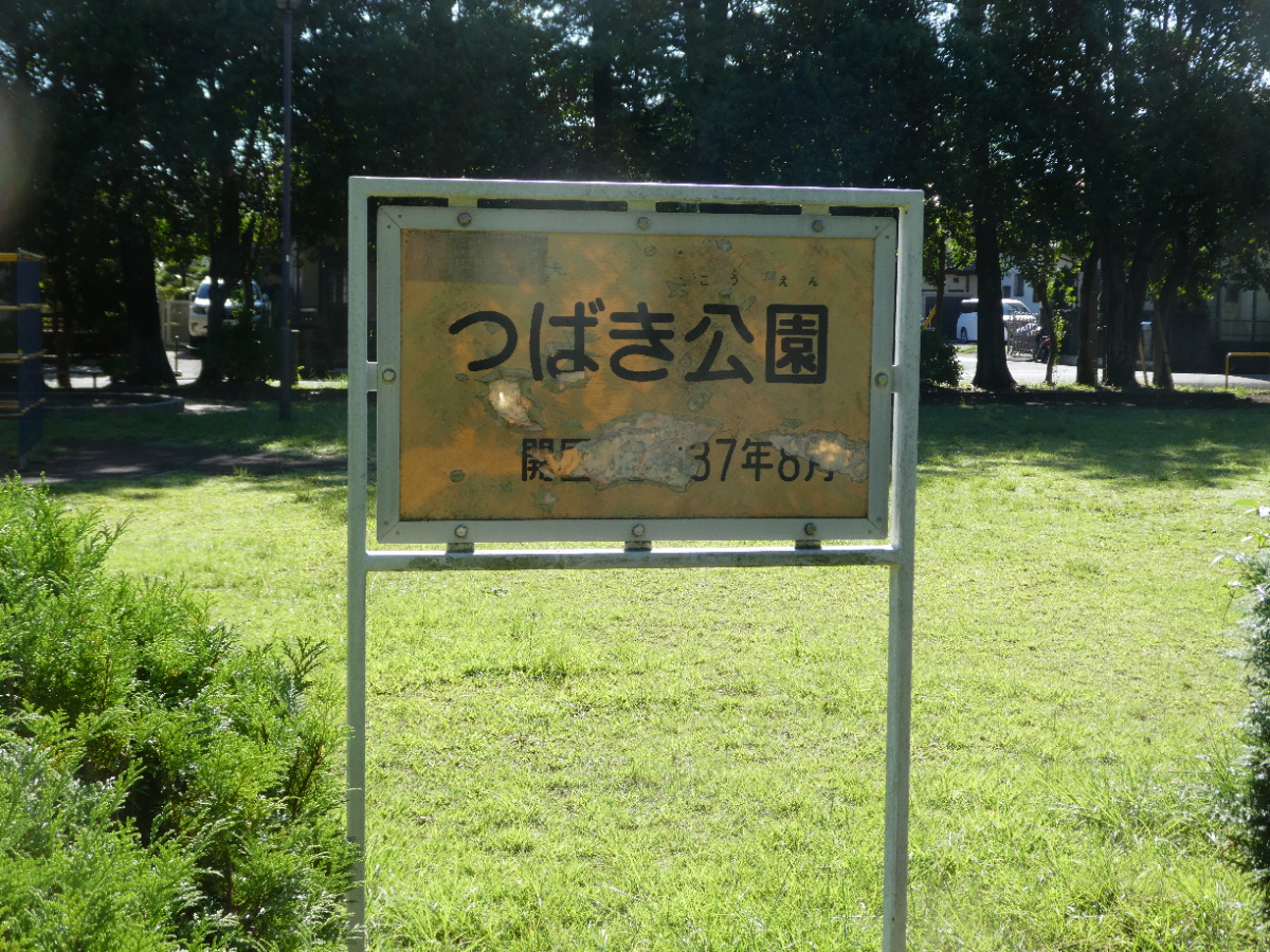 つばき公園（松戸市常盤平）