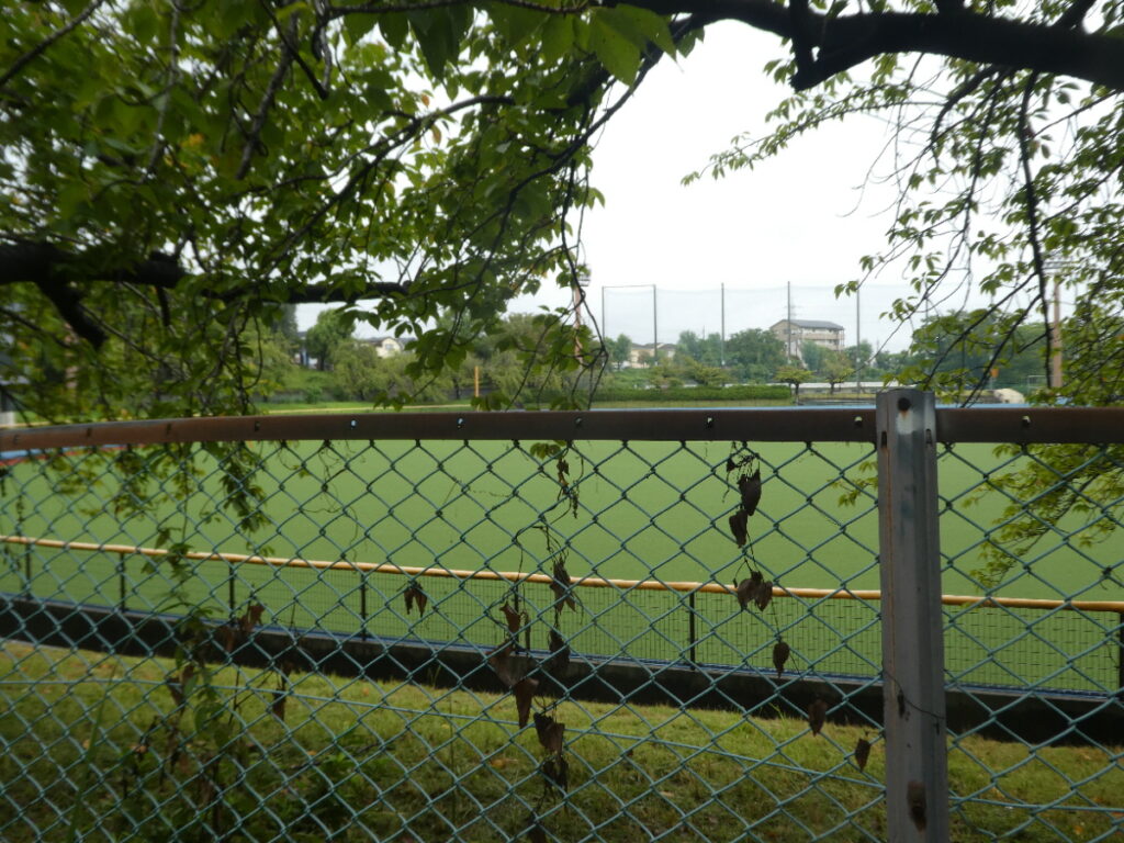 松戸運動公園（松戸市上本郷）