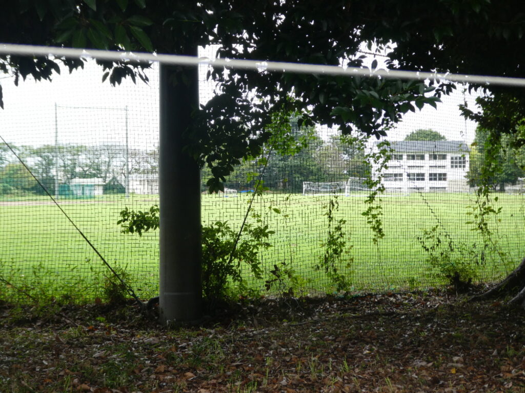 千葉県立松戸高等学校（松戸市中和倉）