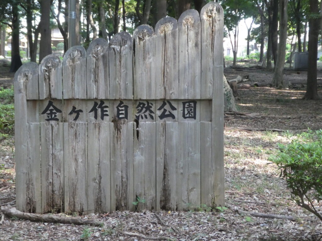 金ケ作自然公園(松戸市金ケ作)