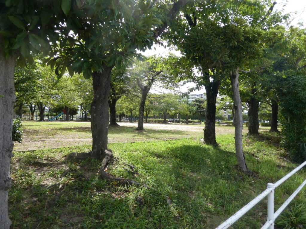 新松戸南公園（松戸市新松戸南）