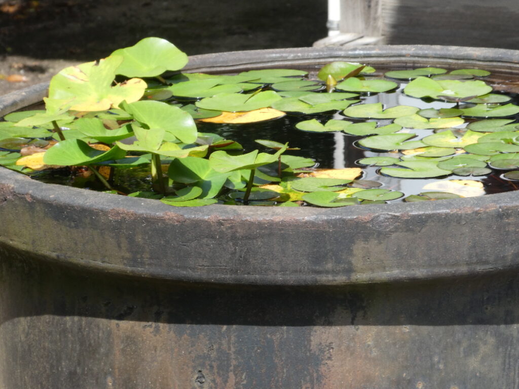 正福寺（松戸市横須賀）
