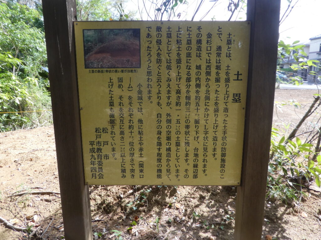 大谷口歴史公園(松戸市大谷口)