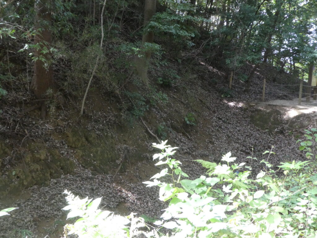 大谷口歴史公園(松戸市大谷口)