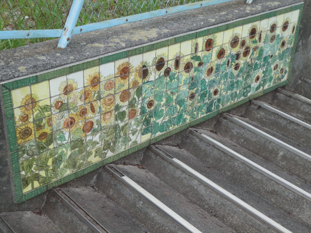 松戸市立貝の花小学校（松戸市小金原）