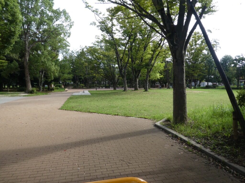 小金原公園（松戸市小金原）
