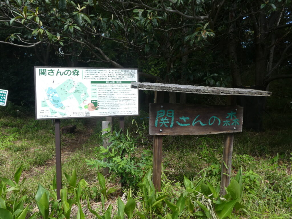 関さんの森（松戸市幸谷）
