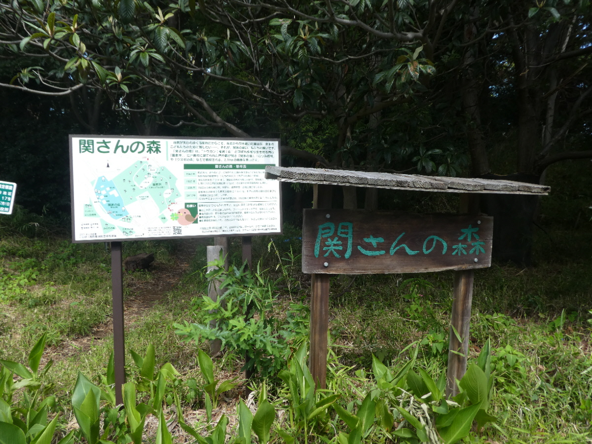 関さんの森（松戸市幸谷）