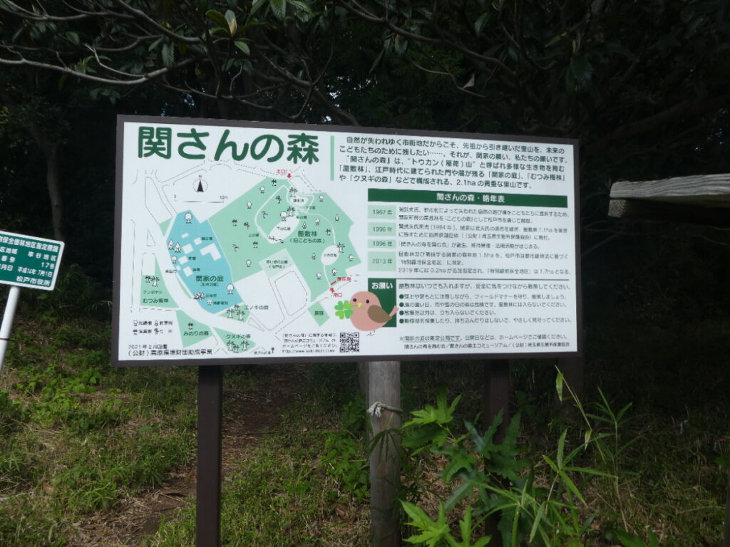関さんの森（松戸市幸谷）