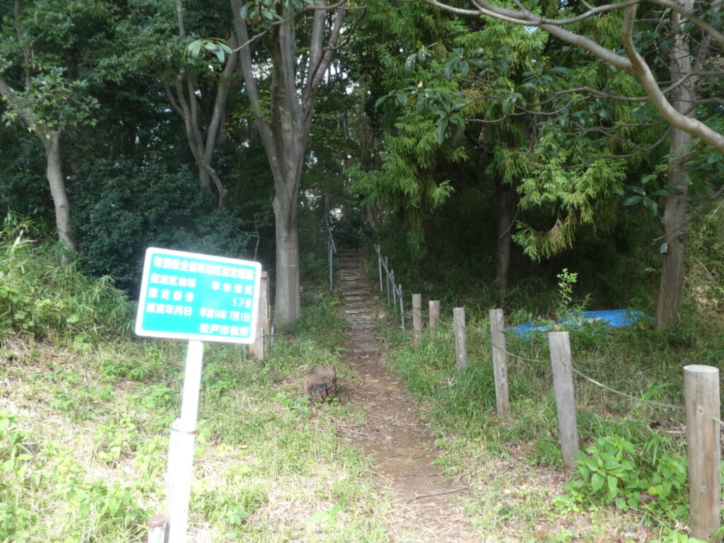 関さんの森（松戸市幸谷）