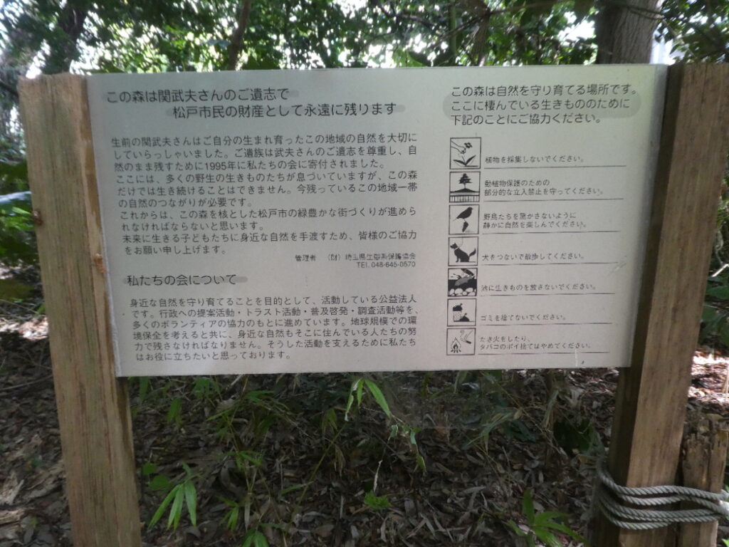 関さんの森（松戸市幸谷）