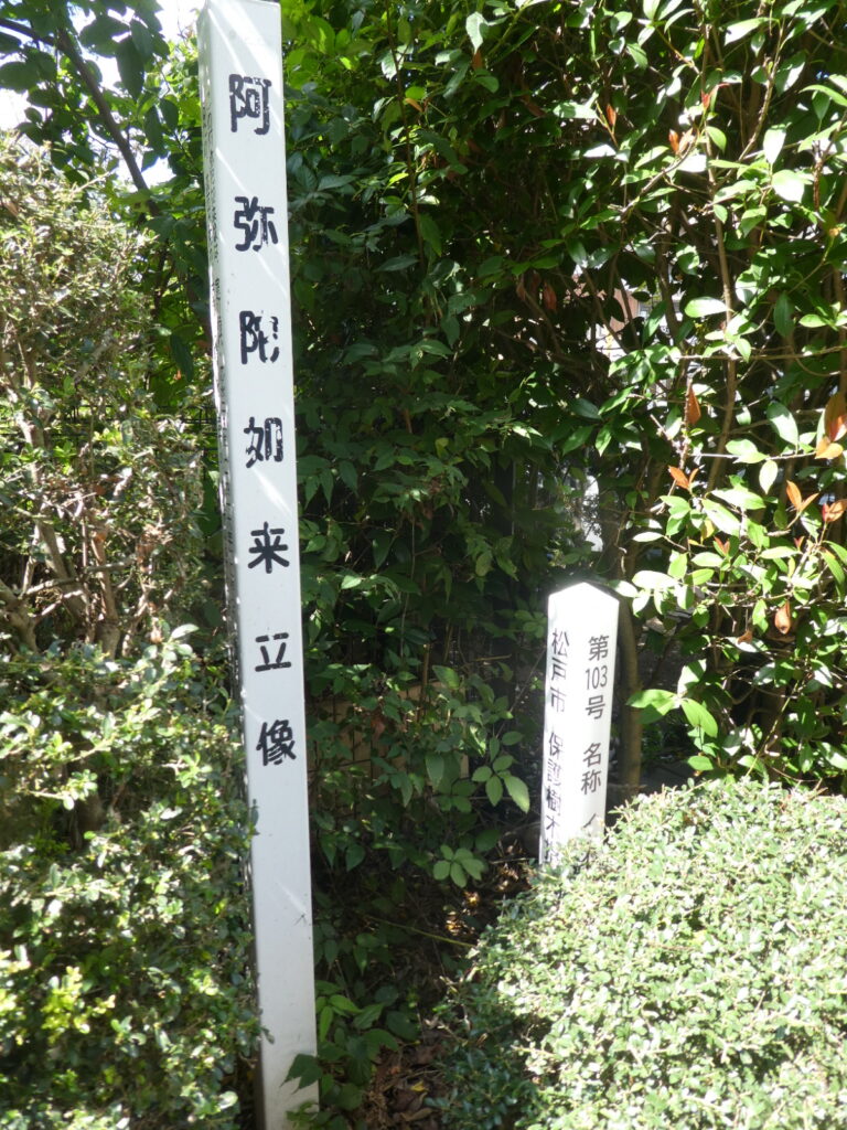 光明寺 (松戸市二ツ木)