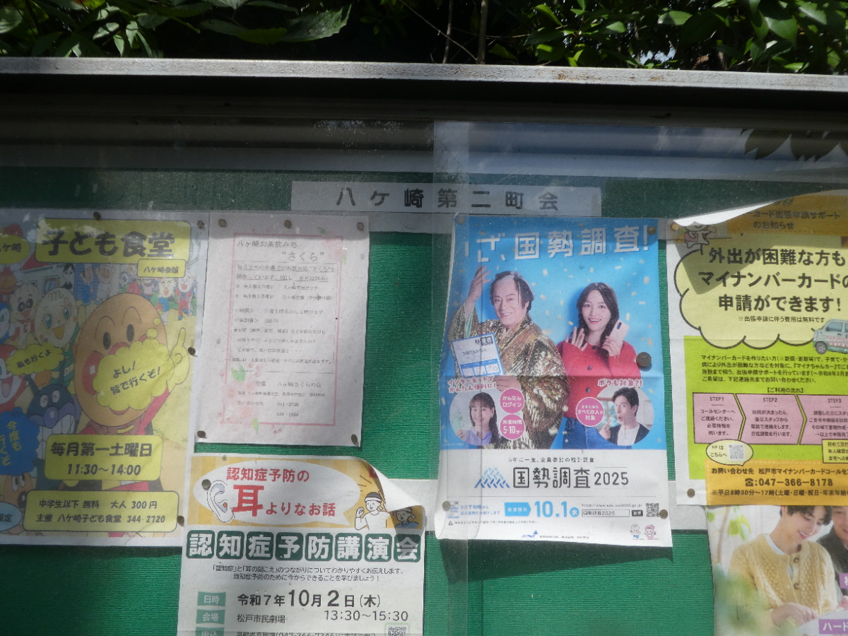 松戸市八ケ崎