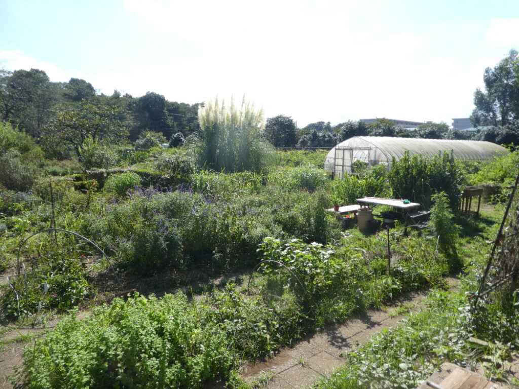 松戸市金ヶ作育苗圃（松戸市金ケ作）