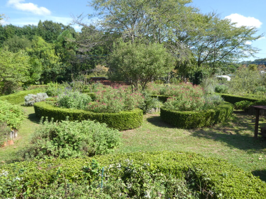 松戸市金ヶ作育苗圃（松戸市金ケ作）