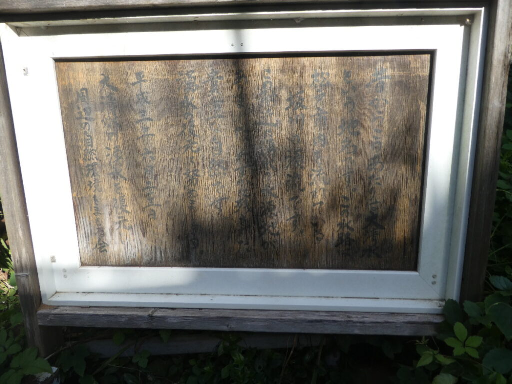大清水湧水（松戸市小金）
