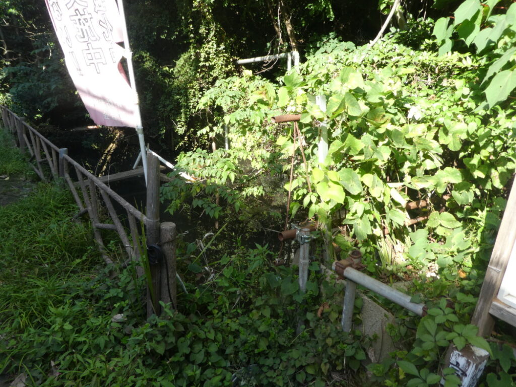 大清水湧水（松戸市小金）