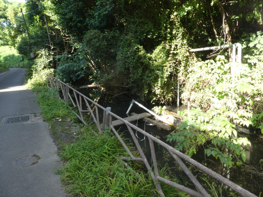 大清水湧水（松戸市小金）