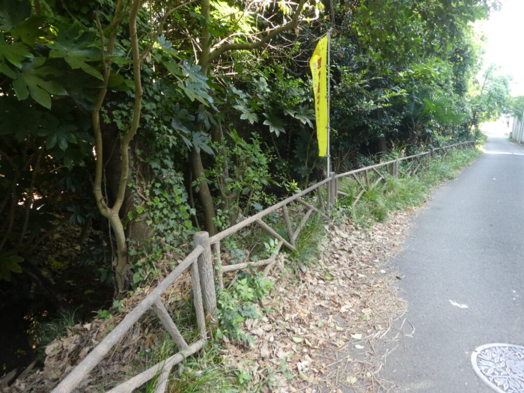 大清水湧水（松戸市小金）