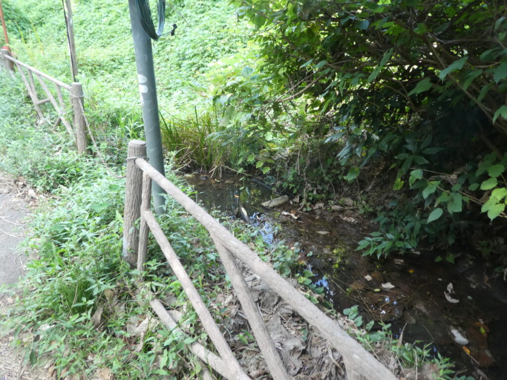 大清水湧水（松戸市小金）