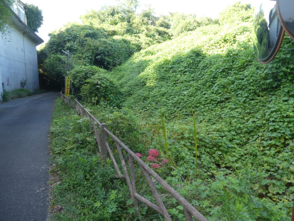 大清水湧水（松戸市小金）