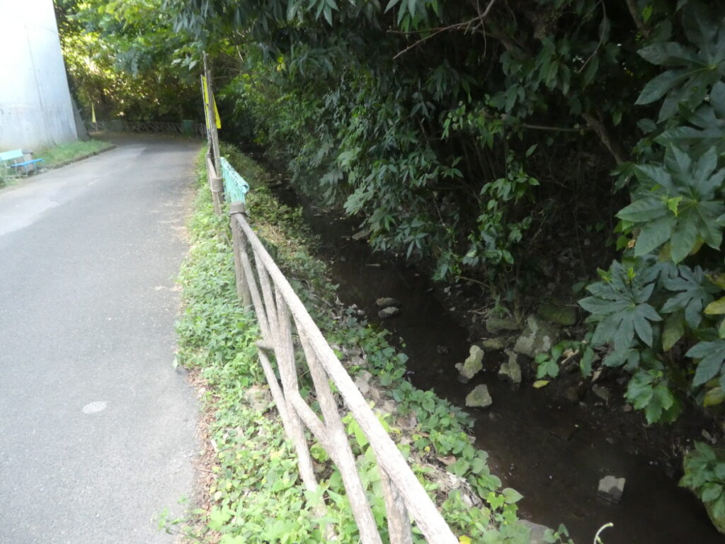 大清水湧水（松戸市小金）