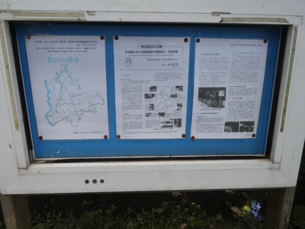 大清水湧水（松戸市小金）
