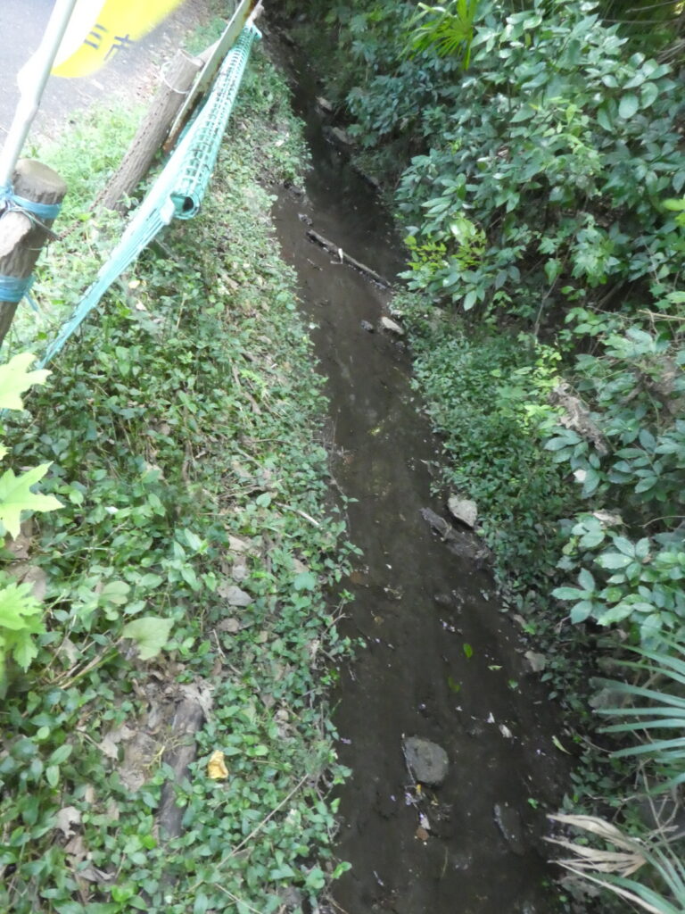 大清水湧水（松戸市小金）