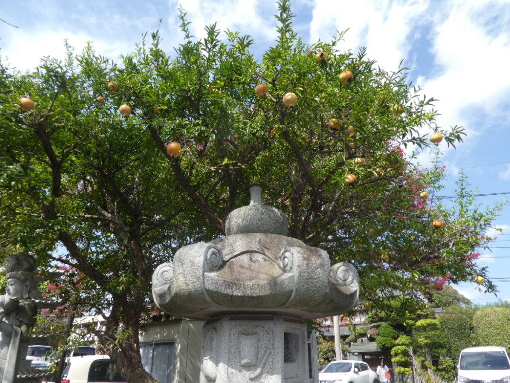 廣龍寺(松戸市東松戸)