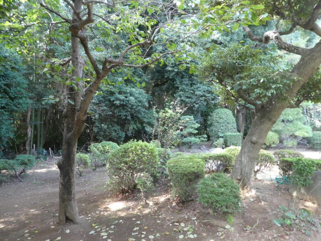 旧齋藤邸(松戸市紙敷)