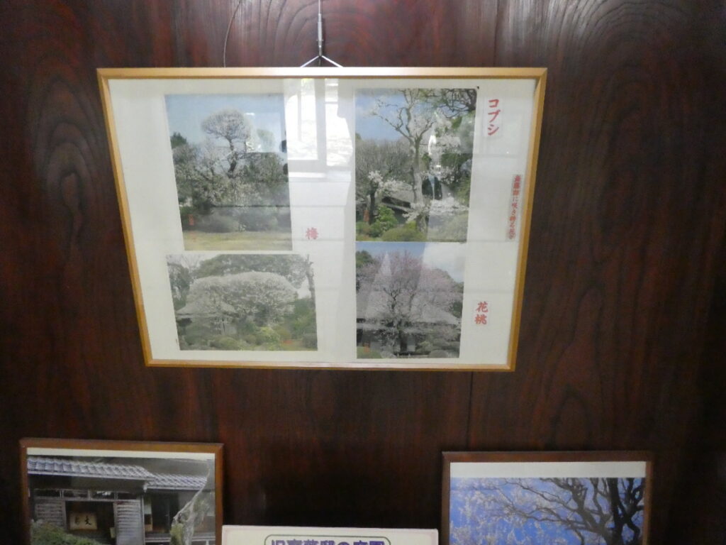 旧齋藤邸(松戸市紙敷)