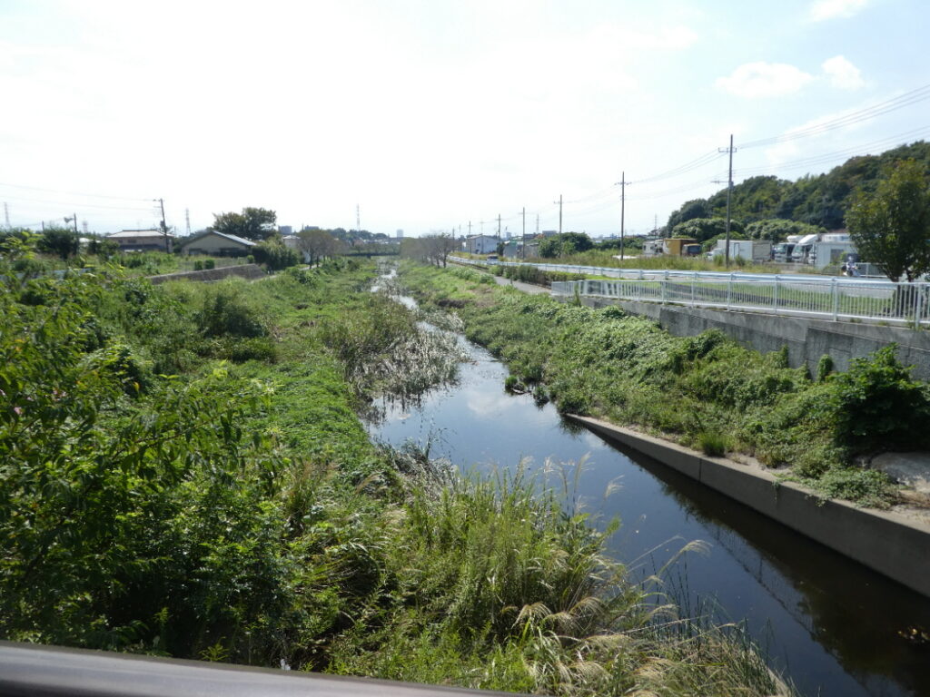 初秋の国分川を歩く