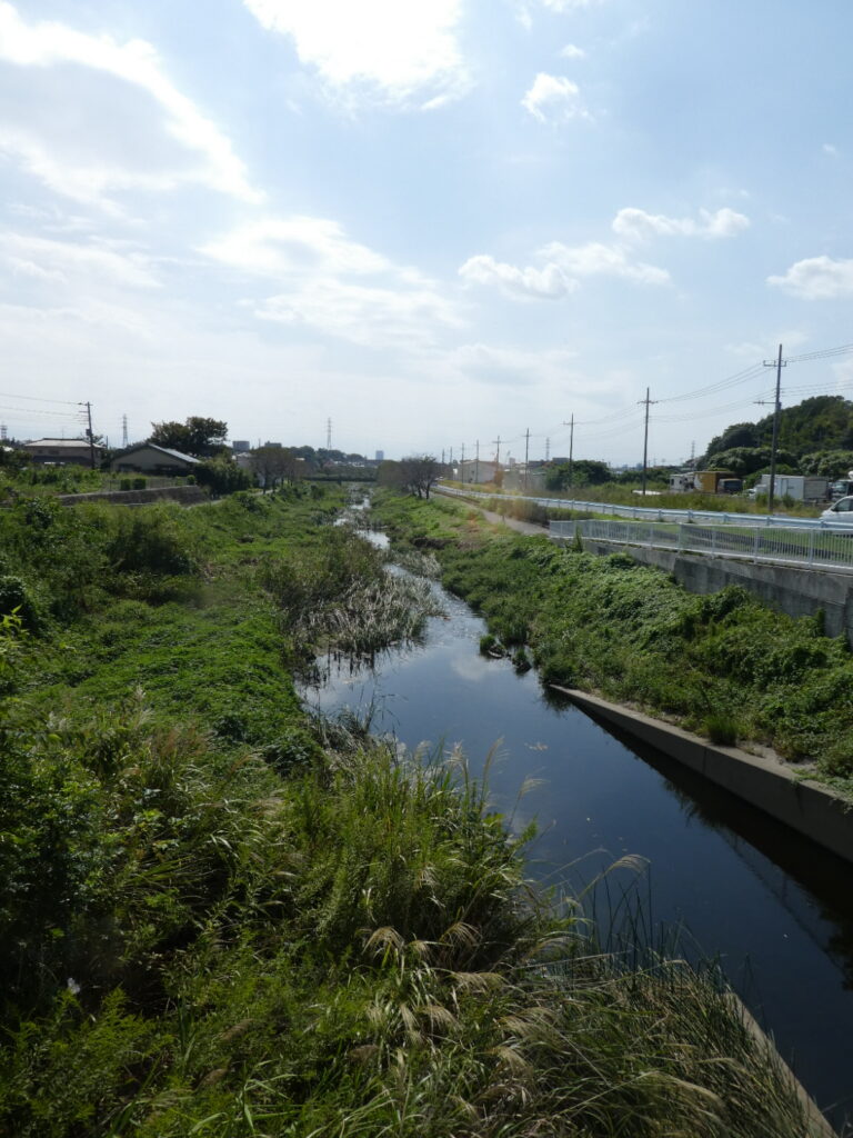 初秋の国分川を歩く