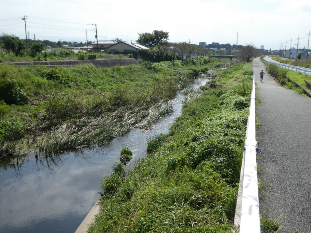 初秋の国分川を歩く
