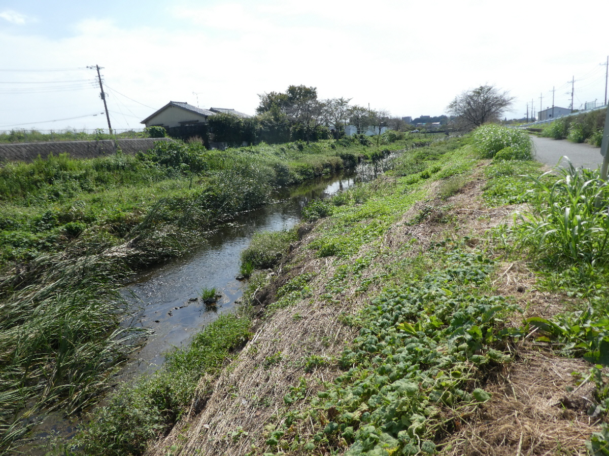 初秋の国分川を歩く