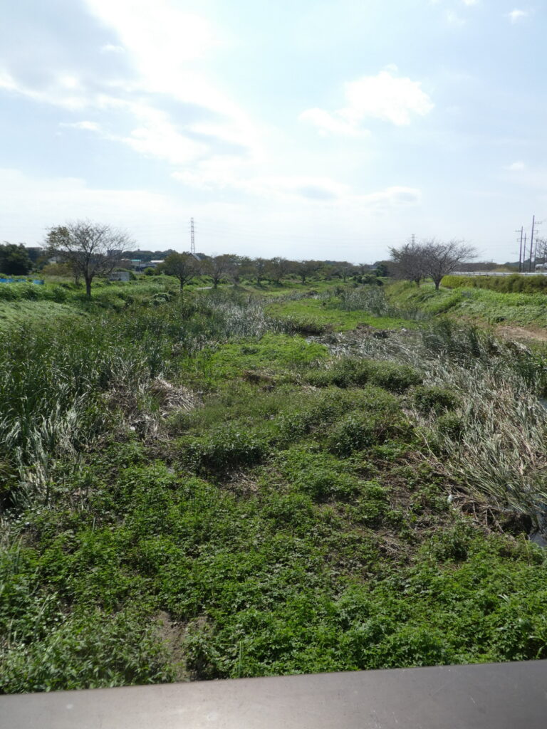 初秋の国分川を歩く