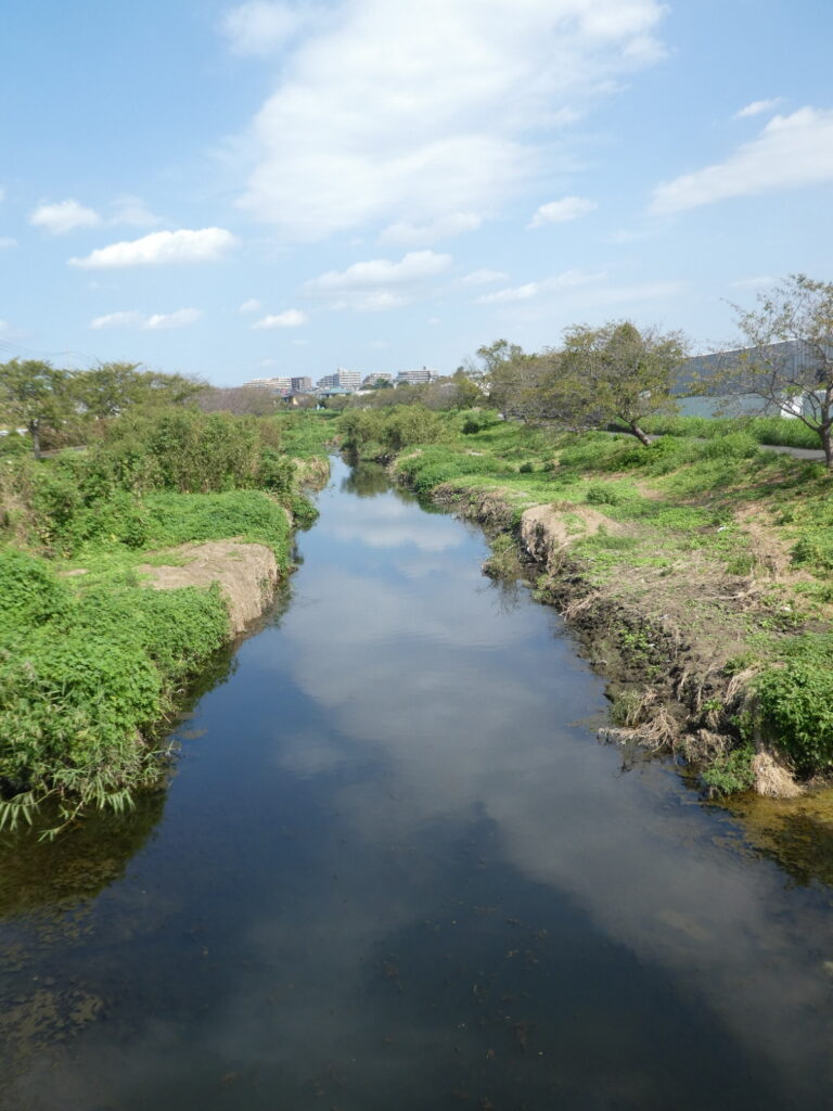 初秋の国分川を歩く